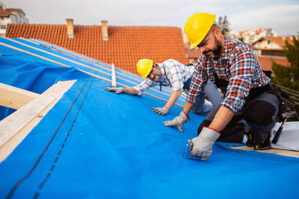 Best Gutter Installation and Repair  in Burns Flat, OK